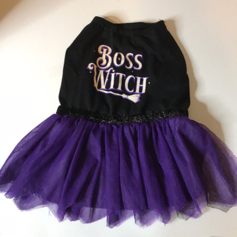 COPY - Boss Witch Halloween Dress For A Small Dog. Very Cute For Your Small Pup…